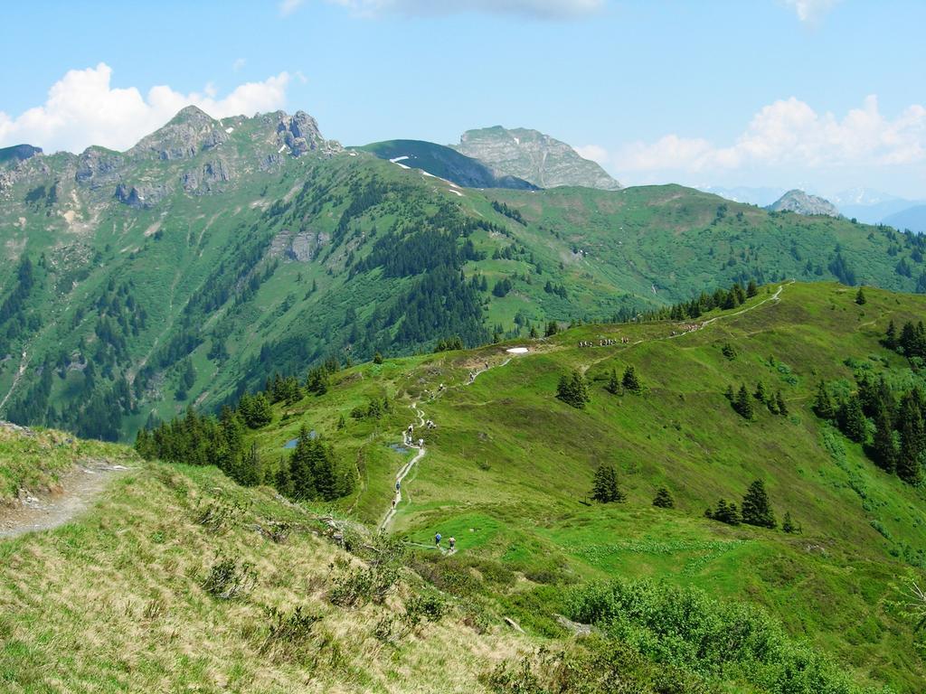 Landhotel Steindlwirt Dorfgastein Eksteriør bilde